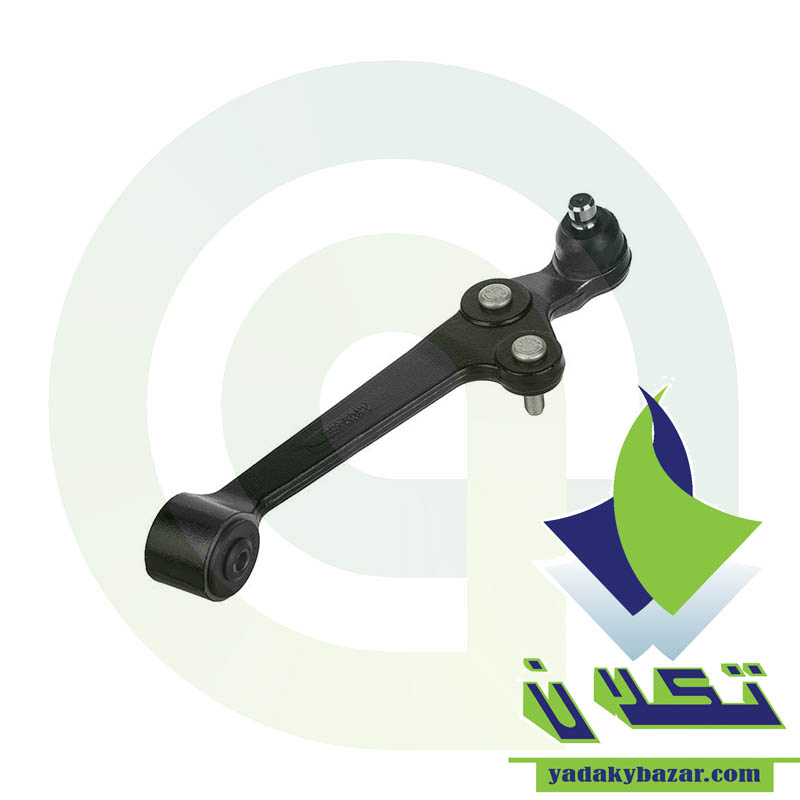 طبق چپ تیبا امیرنیا