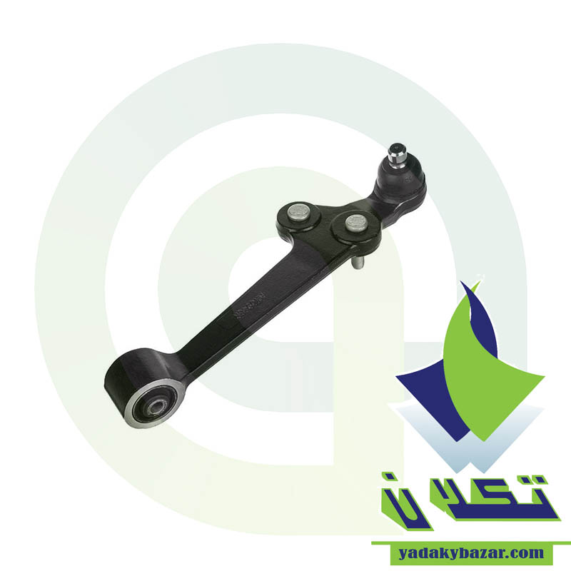 طبق راست تیبا امیرنیا